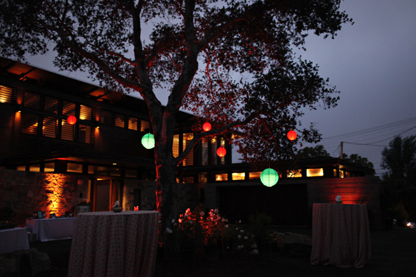beverly-hills-backyard-wedding