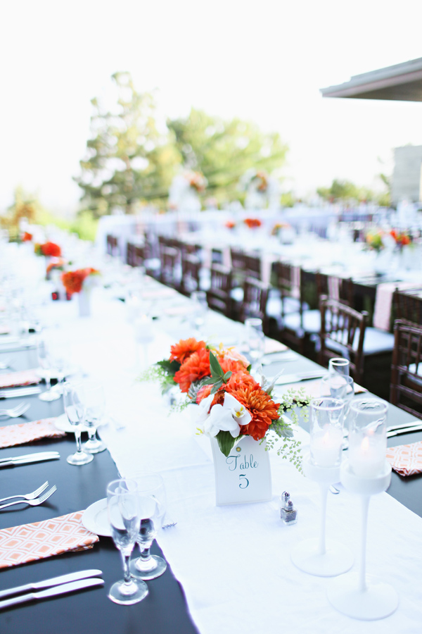 beverly-hills-backyard-wedding