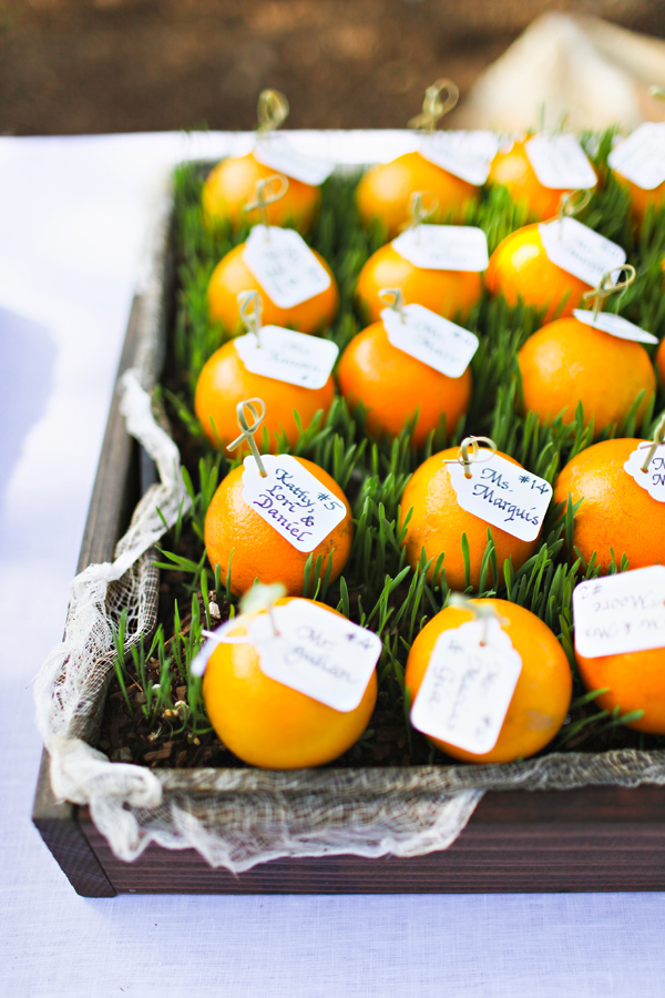 beverly-hills-backyard-wedding