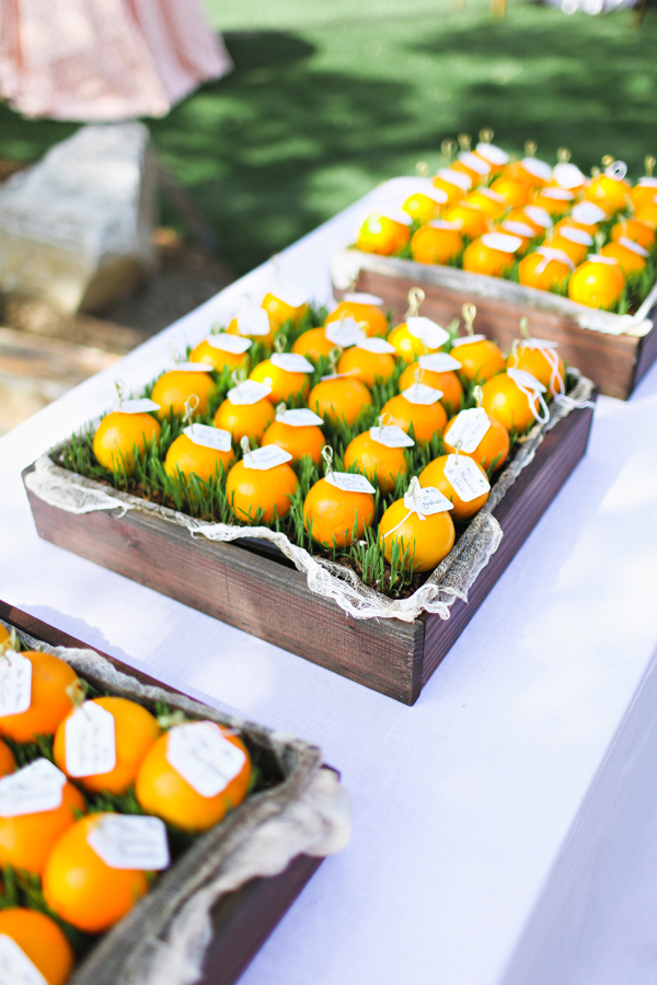 beverly-hills-backyard-wedding