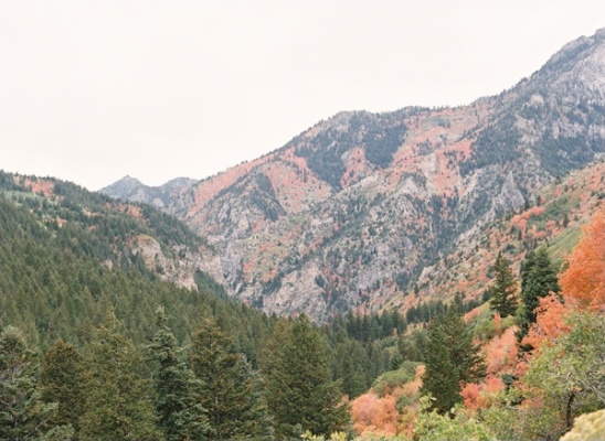 Autumnal mountain range with lush green and red foliage