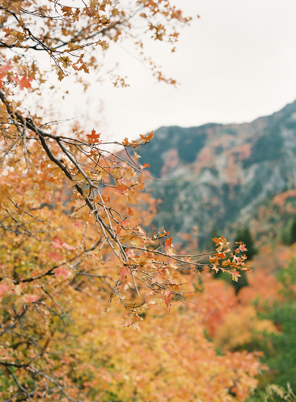 charming-salt-lake-city-wedding