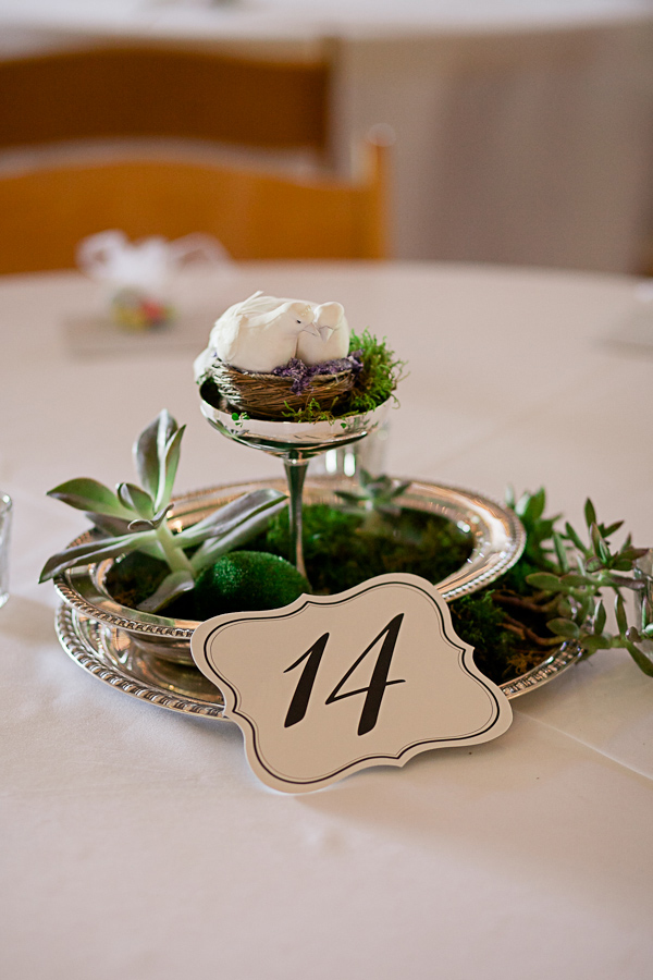 chattanooga-tn-diy-barn-wedding