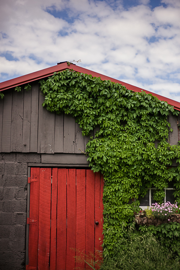 chattanooga-tn-diy-barn-wedding