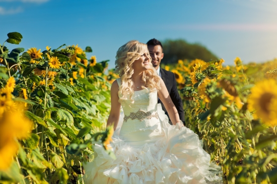 Bride and Groom in Sunflower Field on their Wedding Day
