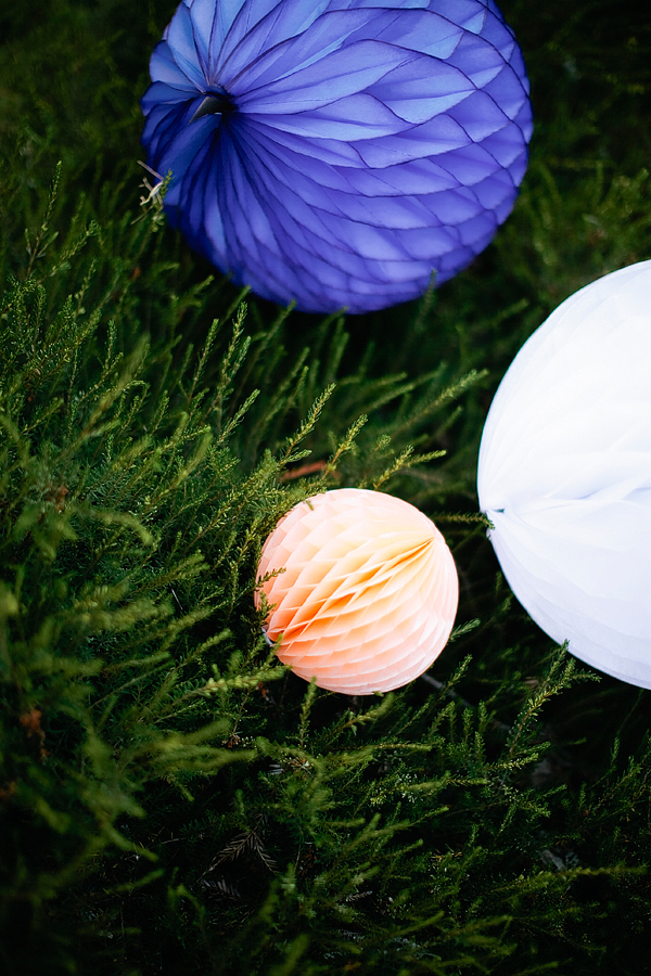 diy-portland-backyard-wedding
