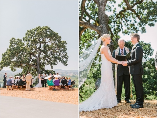 winery wedding