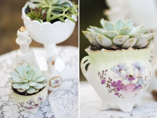 Succulents in vintage floral teacups for a charming garden display