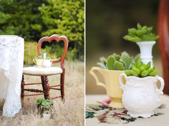 Succulents in vintage teacups on chair in nature with lace table