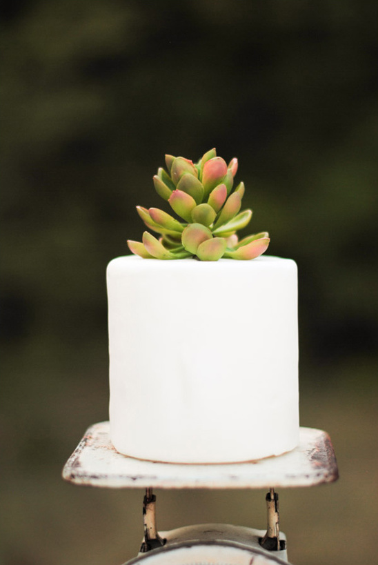 Succulent cake on scale, white frosting and greenery