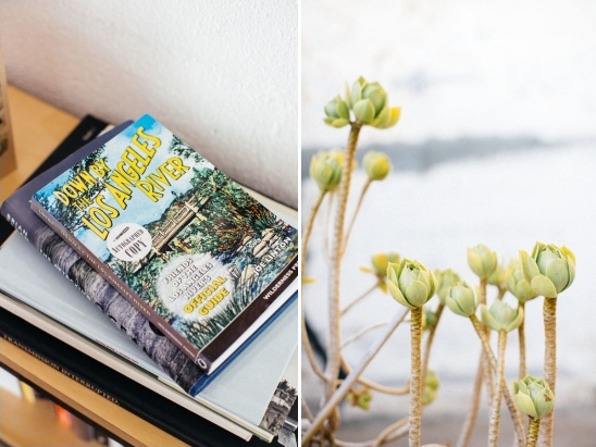 A stack of books including Los Angeles River guide next to succulents