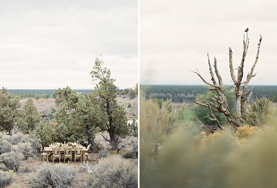 film photography workshop