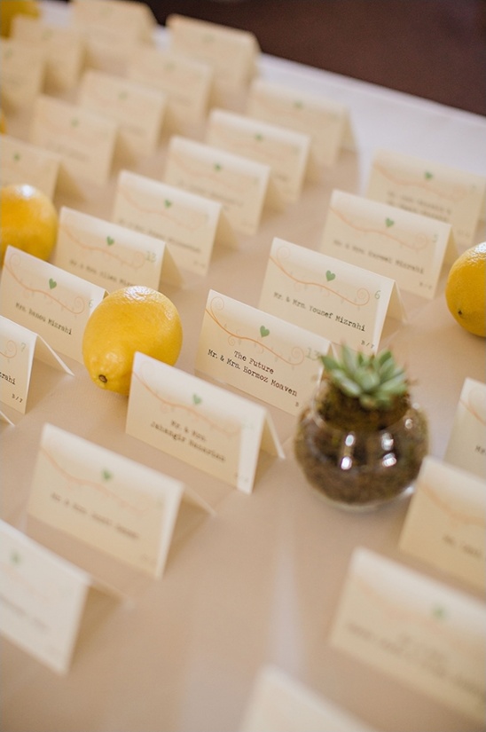 Elegant wedding place cards with lemons and a succulent