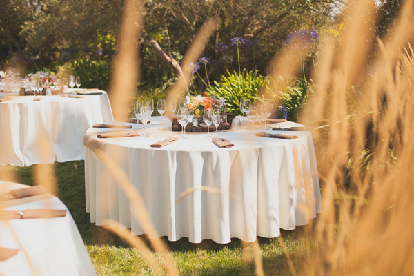 sonoma-backyard-wedding