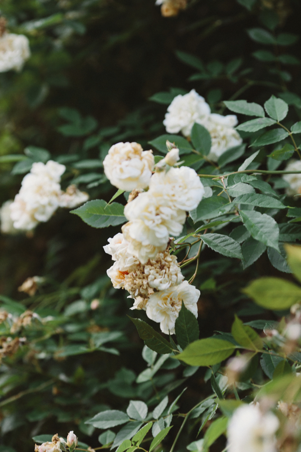 dreamy-tuscan-wedding