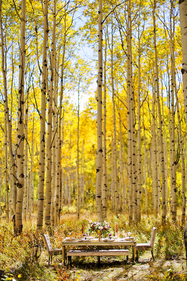 elegant-gold-and-purple-wedding-ideas