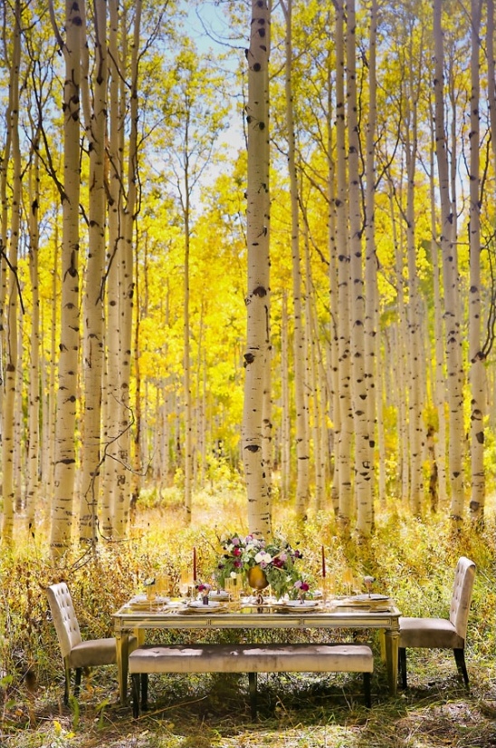 Autumn wedding table setting in aspen grove