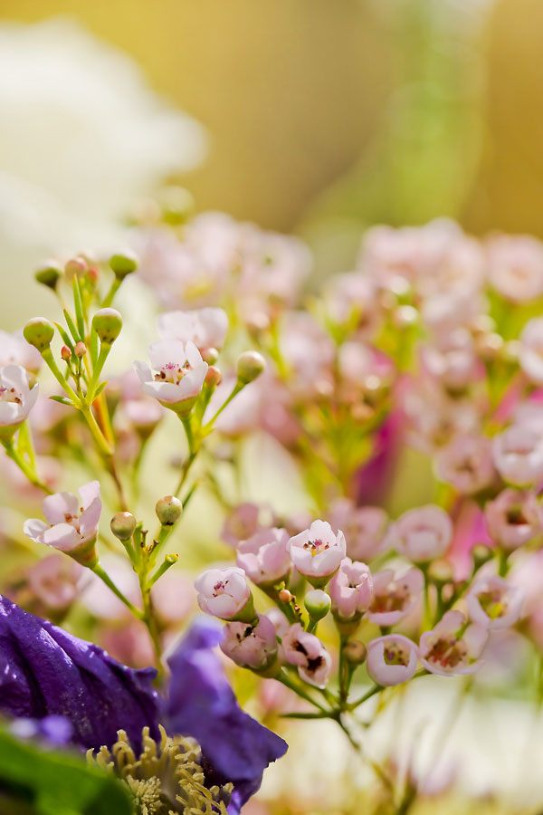 elegant-gold-and-purple-wedding-ideas