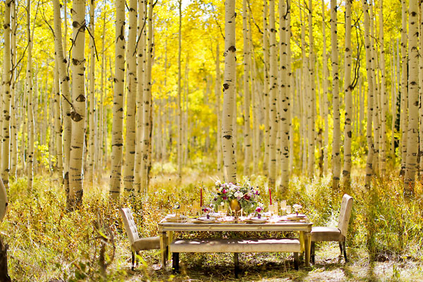 elegant-gold-and-purple-wedding-ideas