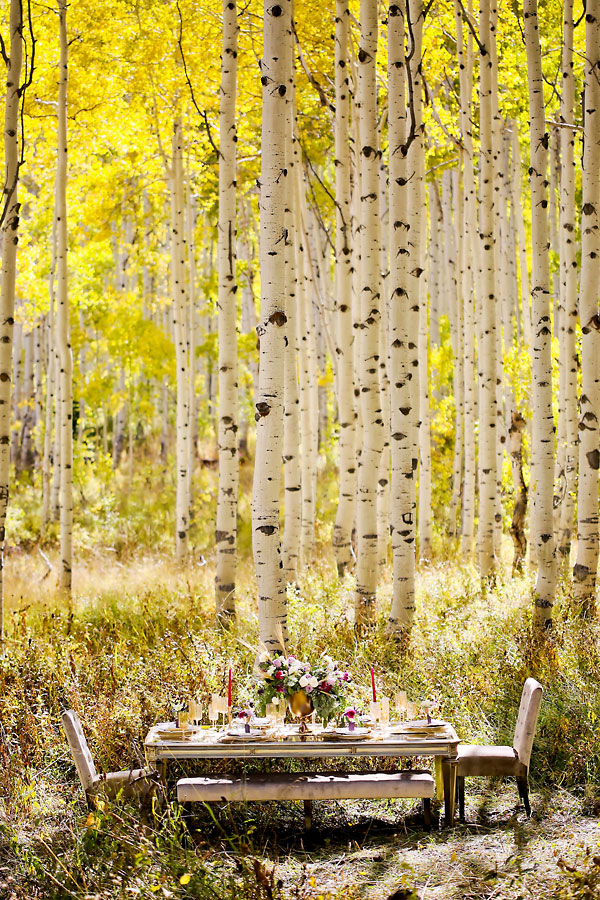 elegant-gold-and-purple-wedding-ideas