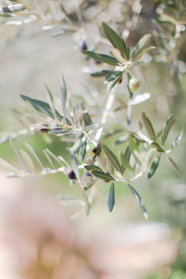 elegant-southern-california-wedding