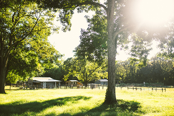 farm-style-wedding-in-mooresville