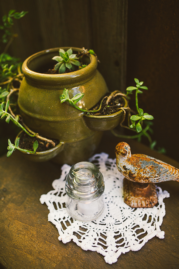 farm-style-wedding-in-mooresville