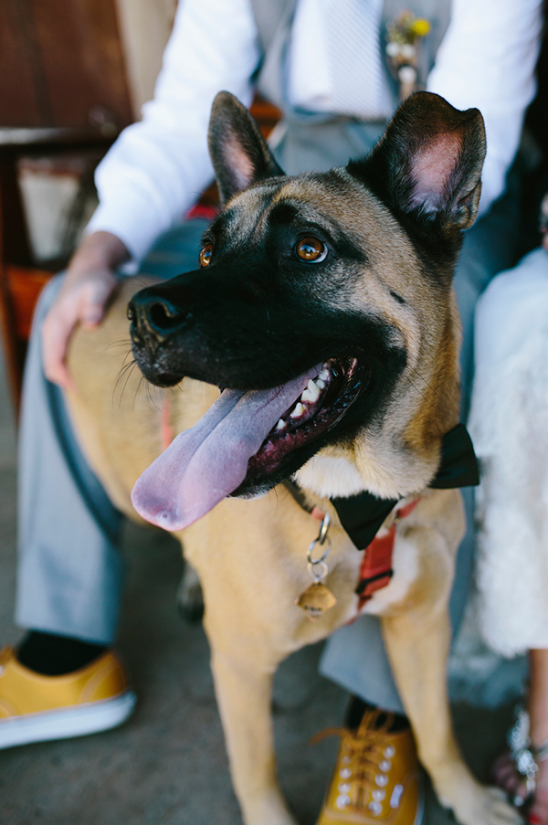 farm-style-wedding-in-mooresville