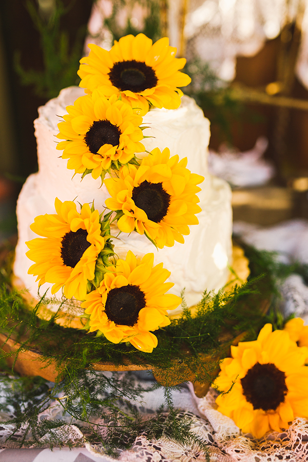 farm-style-wedding-in-mooresville