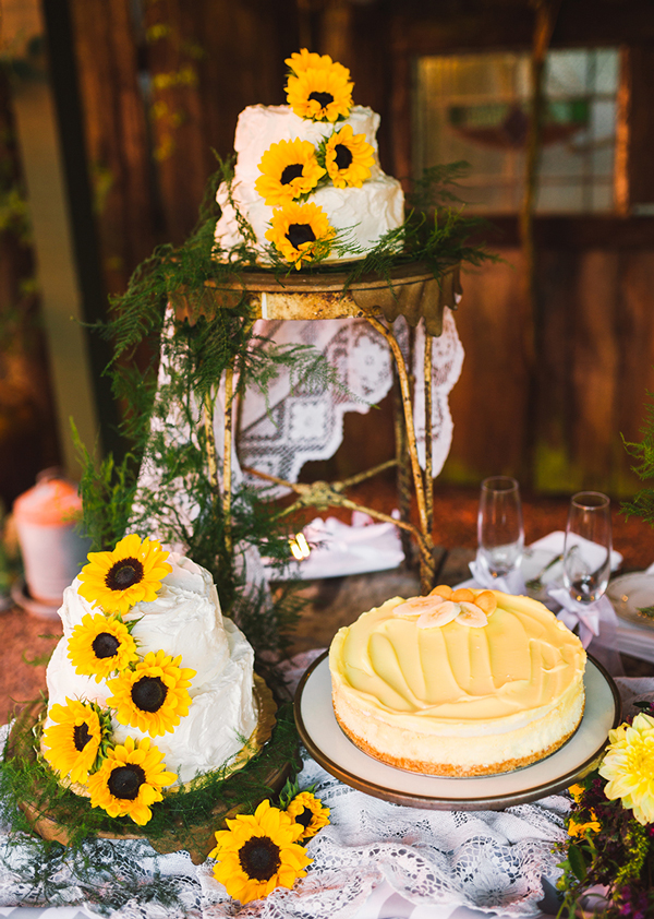 farm-style-wedding-in-mooresville