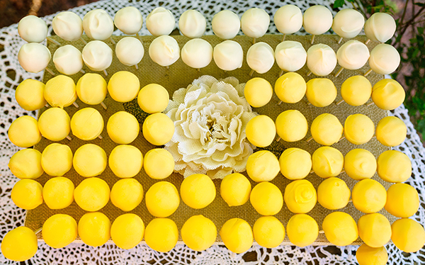 farm-style-wedding-in-mooresville