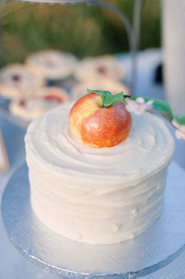 funky-farm-wedding-in-colorado