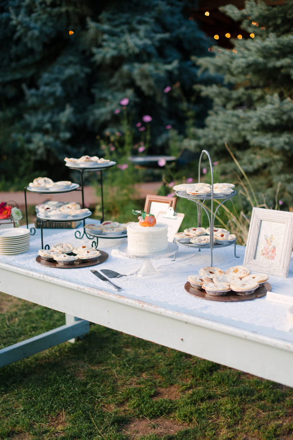 funky-farm-wedding-in-colorado
