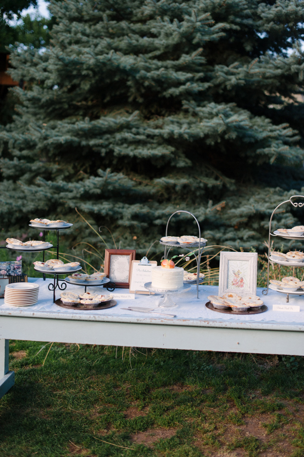 funky-farm-wedding-in-colorado