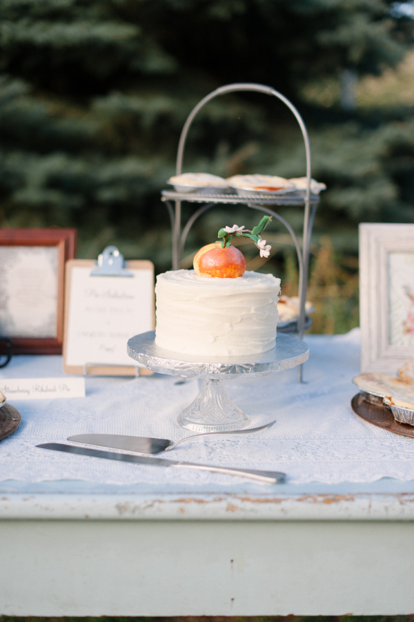 funky-farm-wedding-in-colorado