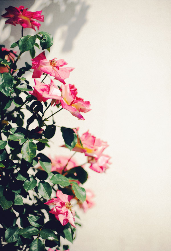 handmade-wedding-in-northern-spain
