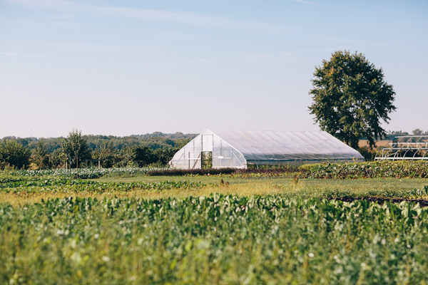 illinois-fall-wedding-at-heritage