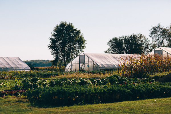 illinois-fall-wedding-at-heritage