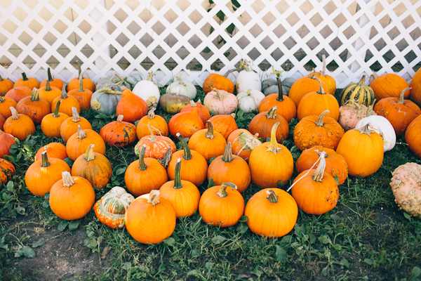 illinois-fall-wedding-at-heritage