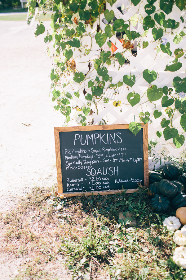 illinois-fall-wedding-at-heritage