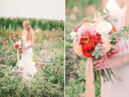 bridal portraits in a field