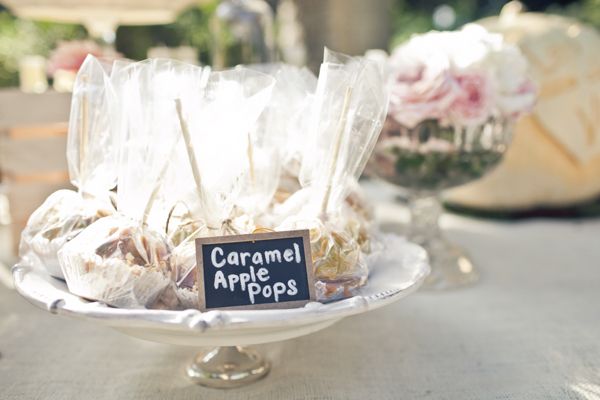 mccormick-home-ranch-wedding