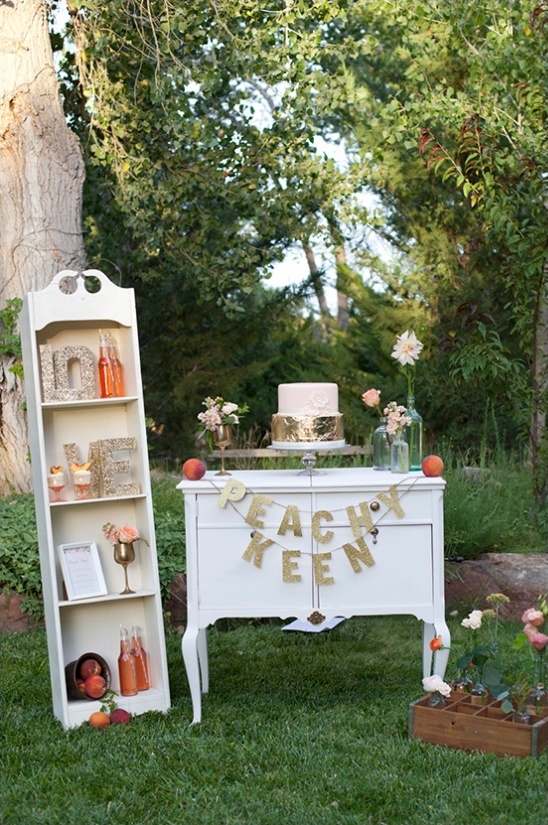 Outdoor peach themed baby shower decoration