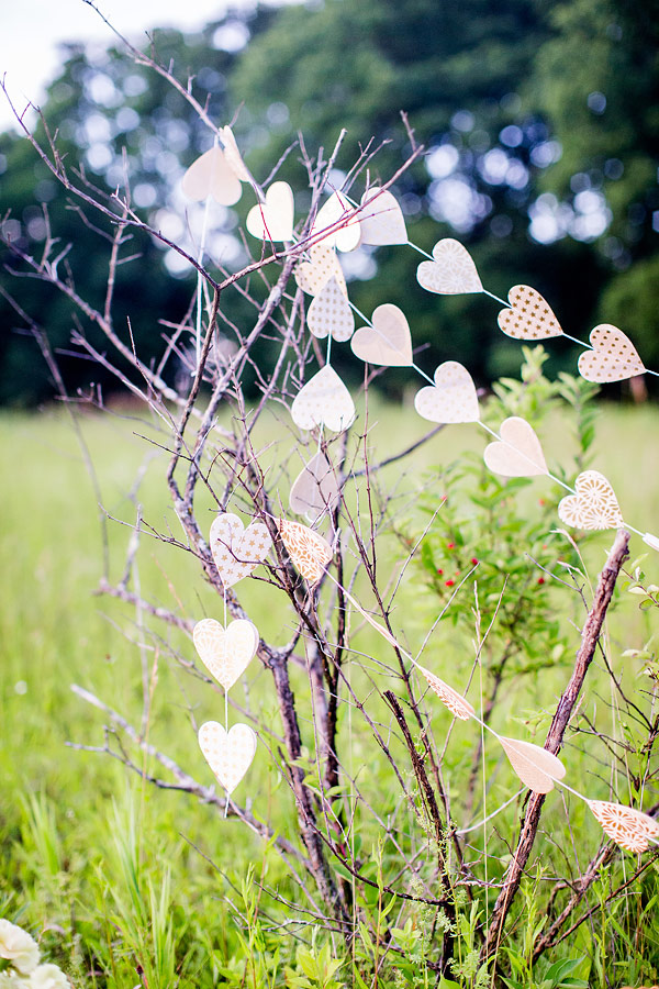 private-picnic-engagement-session