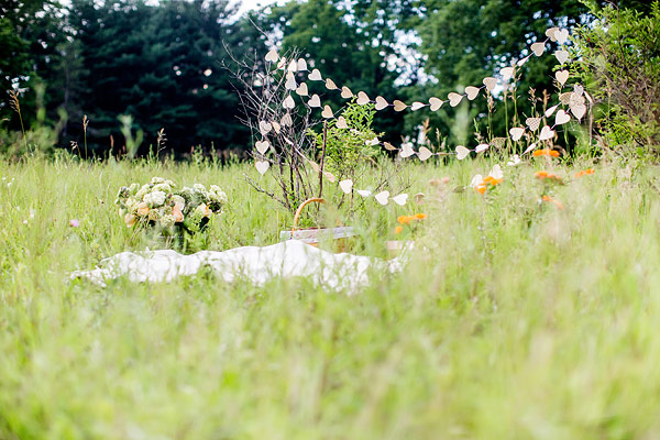 private-picnic-engagement-session