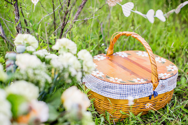private-picnic-engagement-session