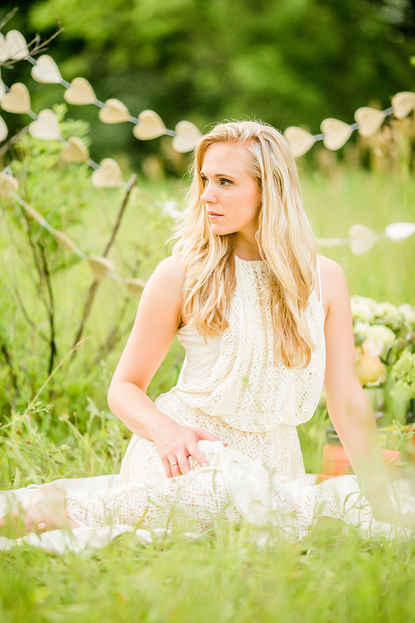 private-picnic-engagement-session