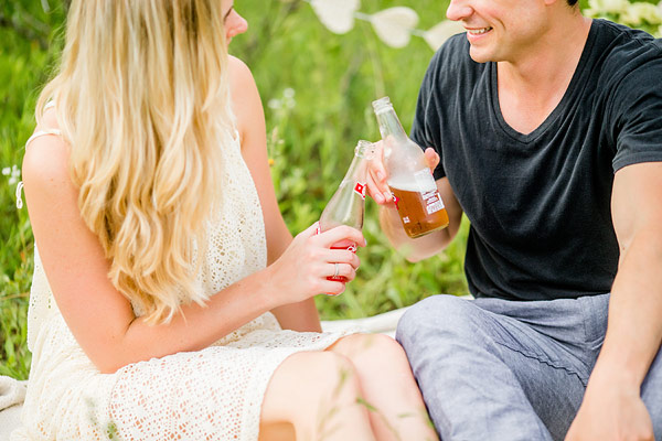 private-picnic-engagement-session