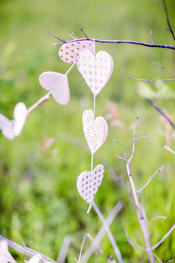 private-picnic-engagement-session