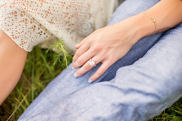 private-picnic-engagement-session